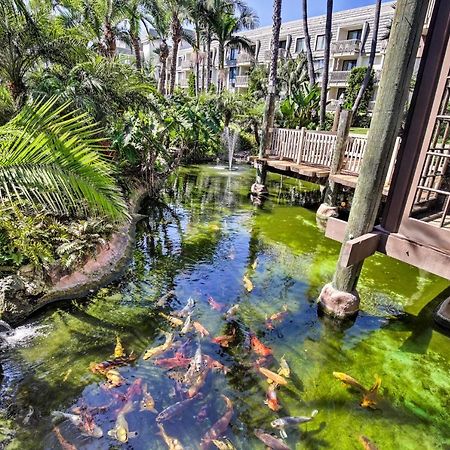 Charming Oceanside Condo With Beach And Pool Access! Екстериор снимка