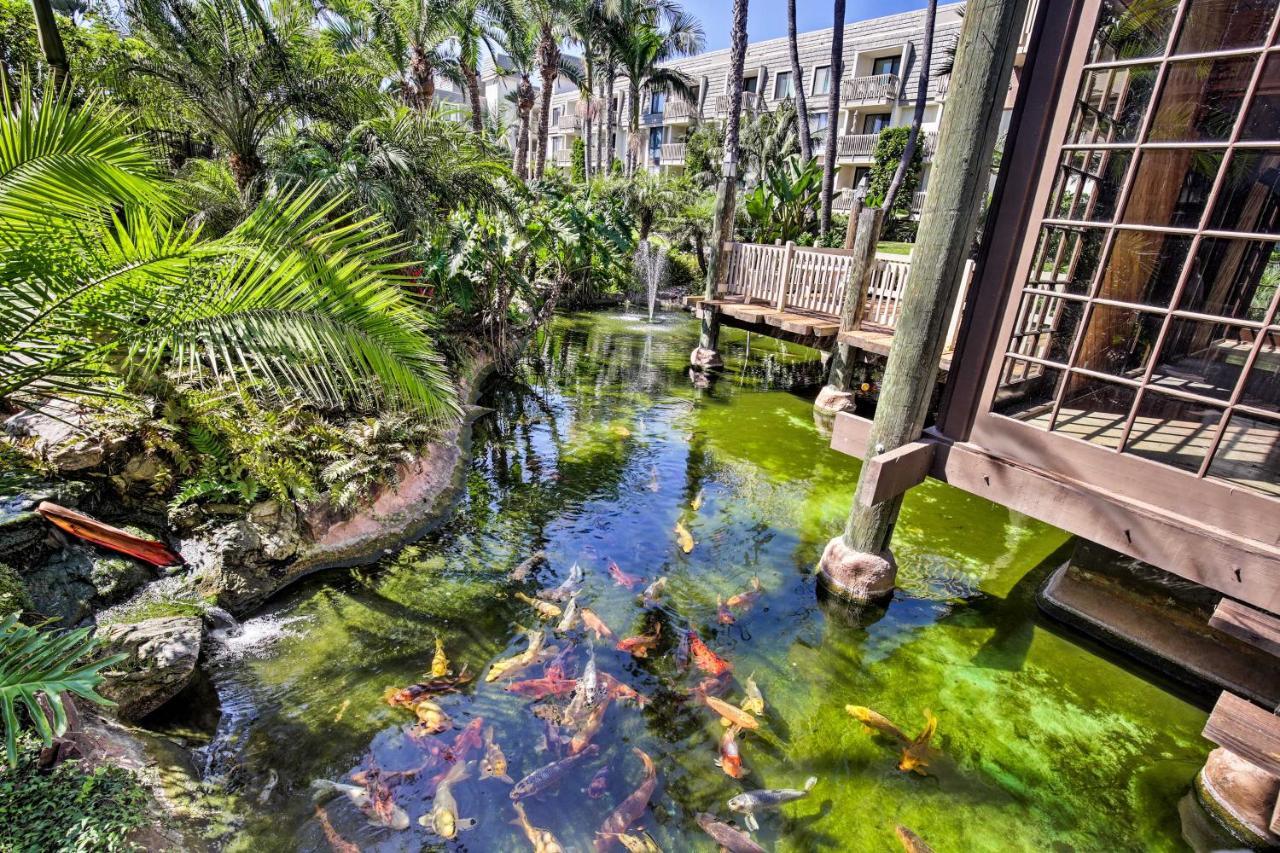 Charming Oceanside Condo With Beach And Pool Access! Екстериор снимка